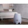 Kaltluftbefeuchter Boneco E2441 in Zimmer