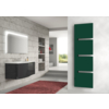 IRSAP Sequenze Designheizkörper - Farbe Verde Bosco